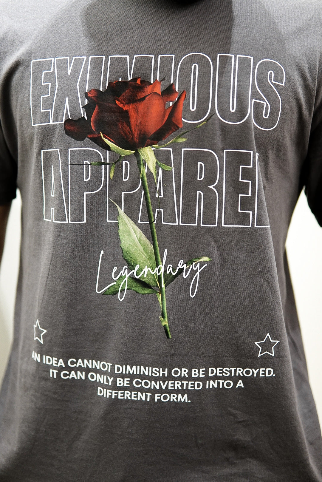 Oversized Iridium Legend Tee